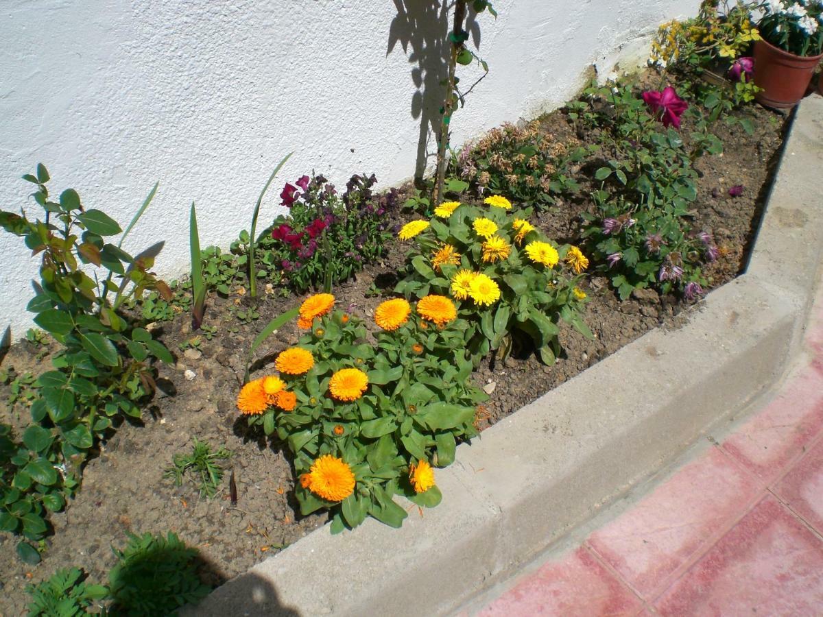 Alojamiento Rural Sierra Luz Ribatajadilla Exterior foto